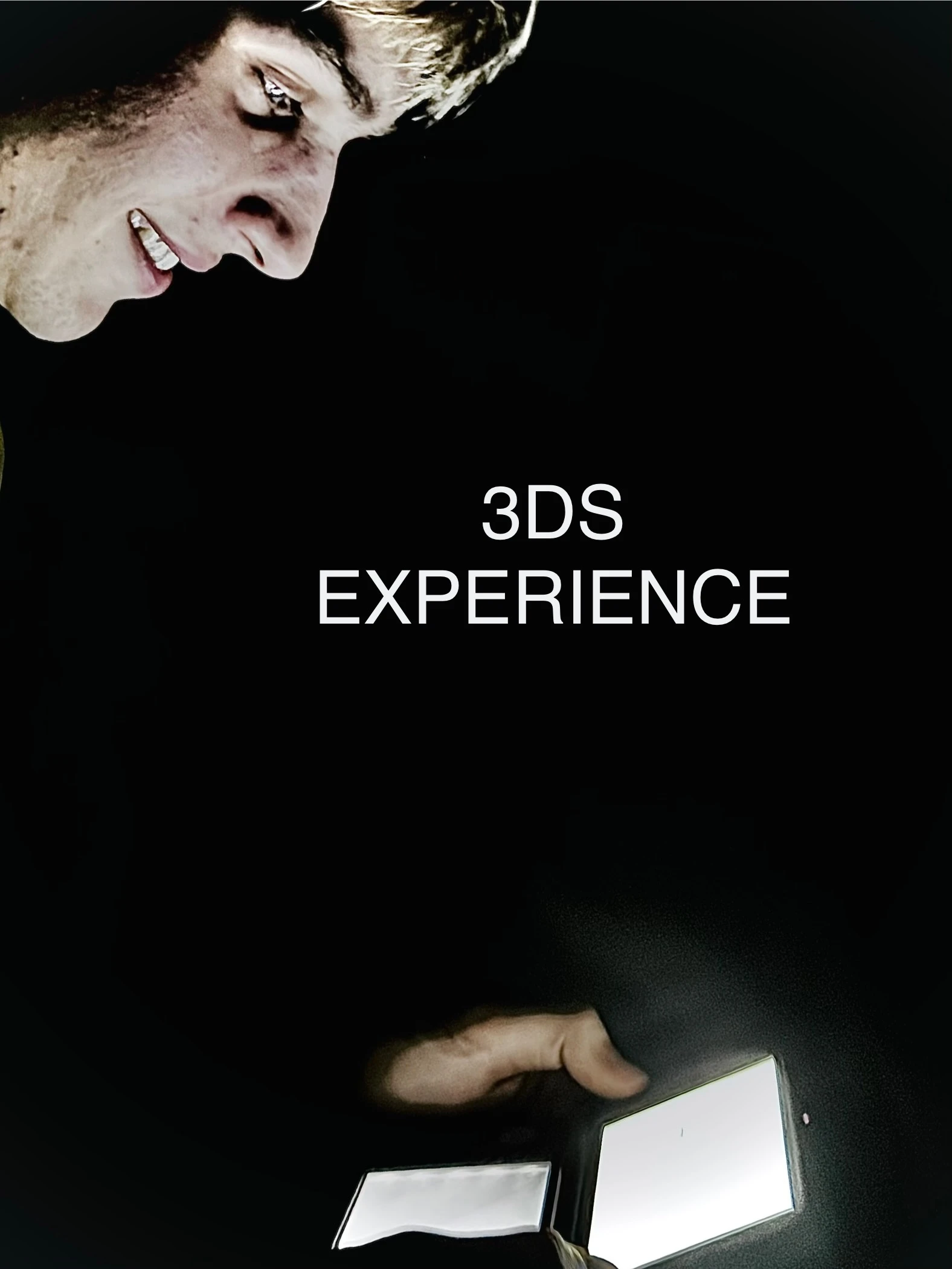 3DS Experience